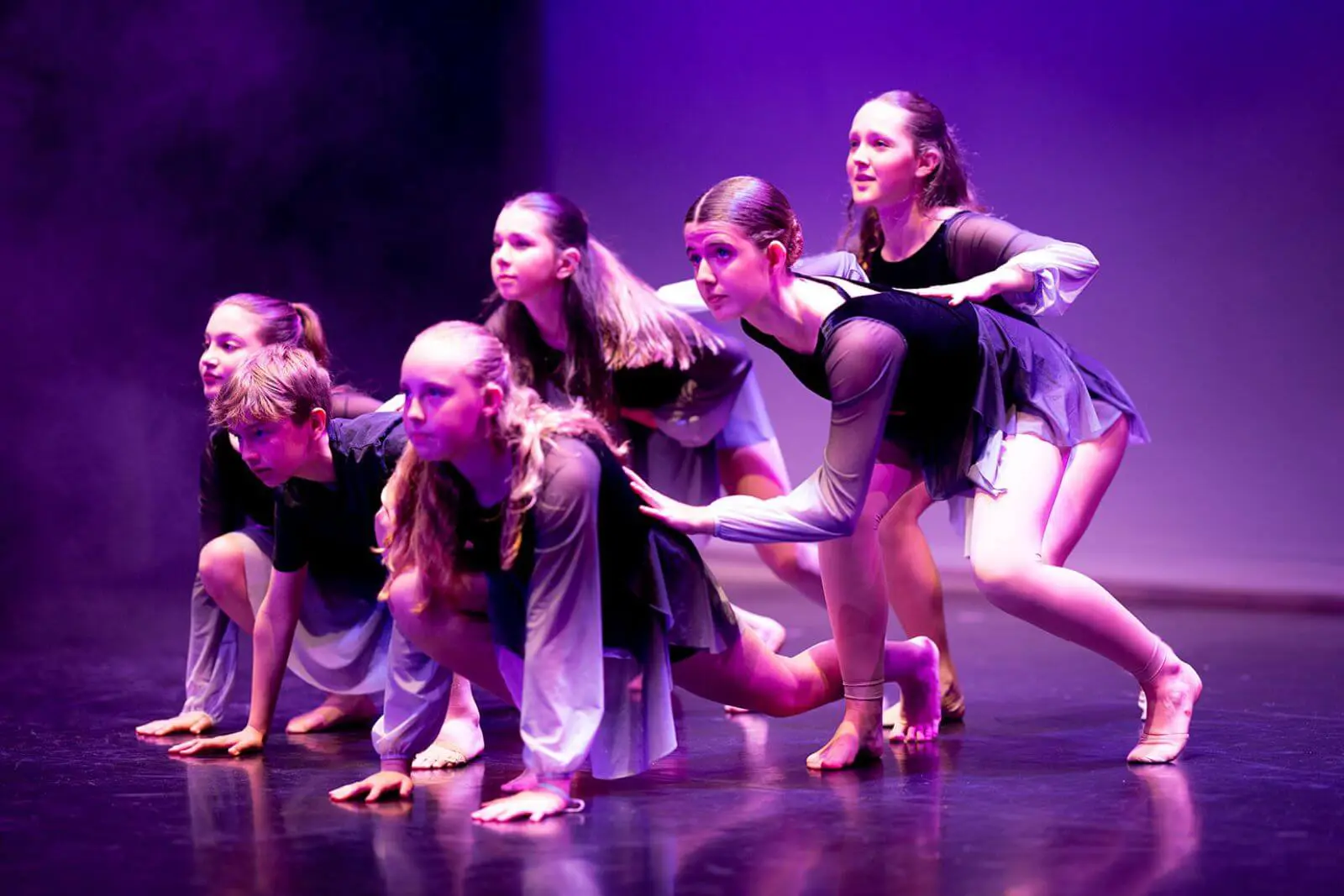 OptimizedImage,,,Optimized