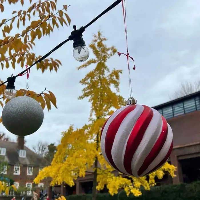 FIPS Festive Fair 2023