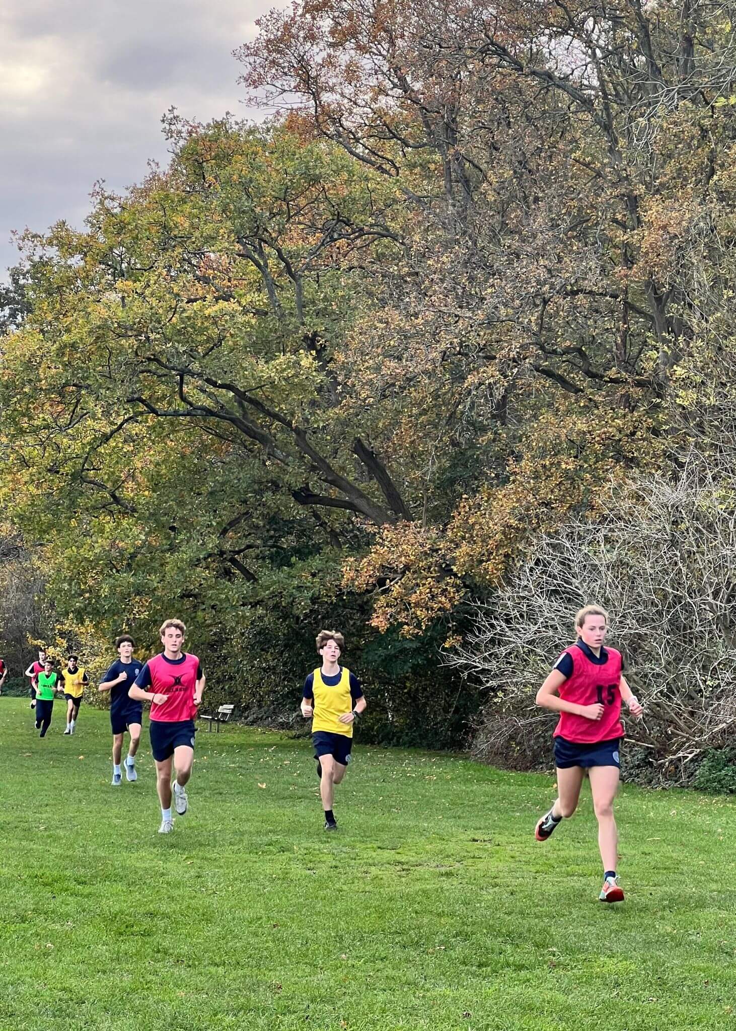  Our annual House Cross Country event took place in the stunning setting of Palewell Common | Ibstock Place School, Roehampton, Private School Near Richmond, Barnes, Putney, Kingston, & Wandsworth 
