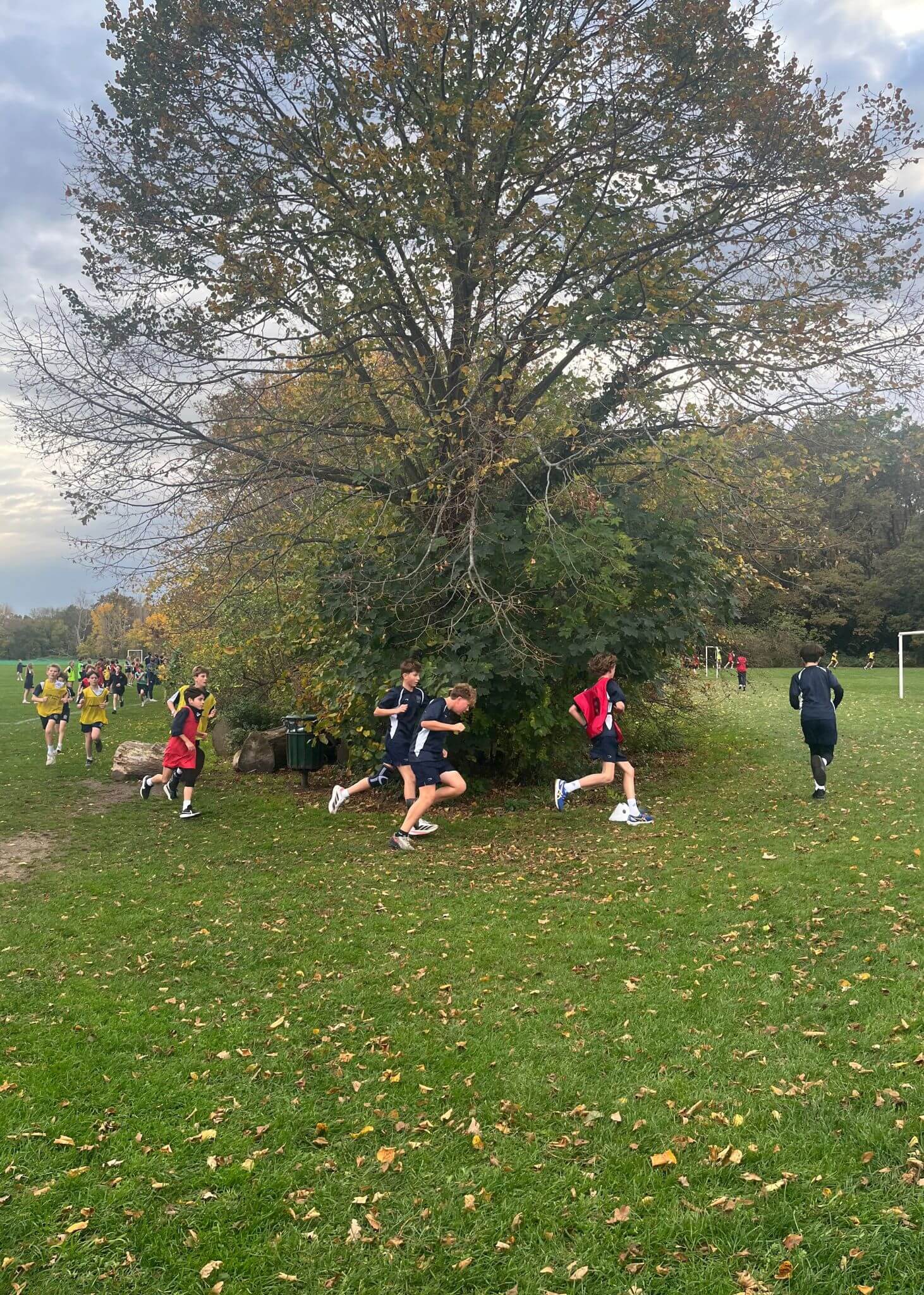   Our annual House Cross Country event took place in the stunning setting of Palewell Common | Ibstock Place  | Ibstock Place School, Roehampton, Private School Near Richmond, Barnes, Putney, Kingston