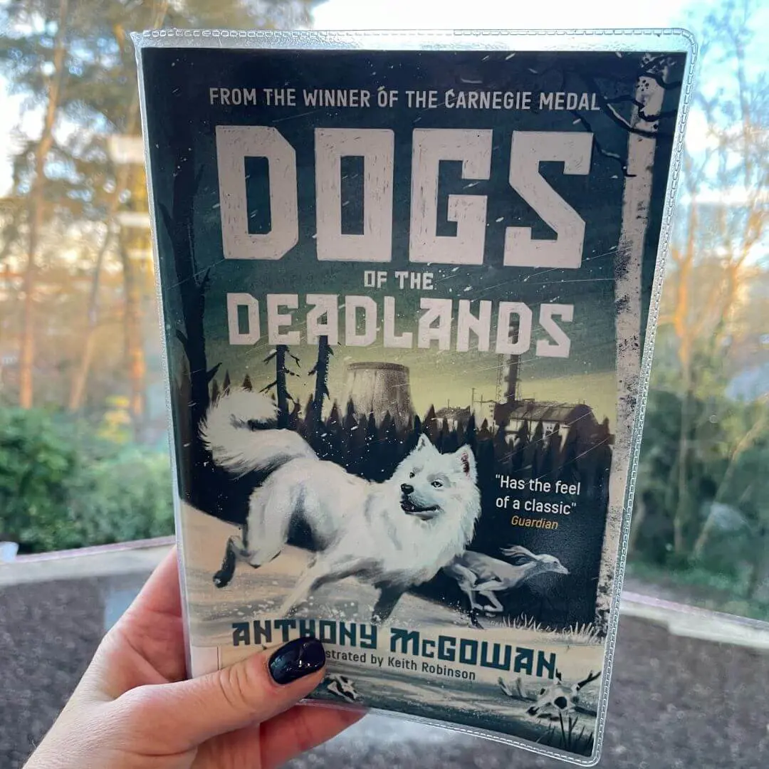  OptimizedImage,Optimized