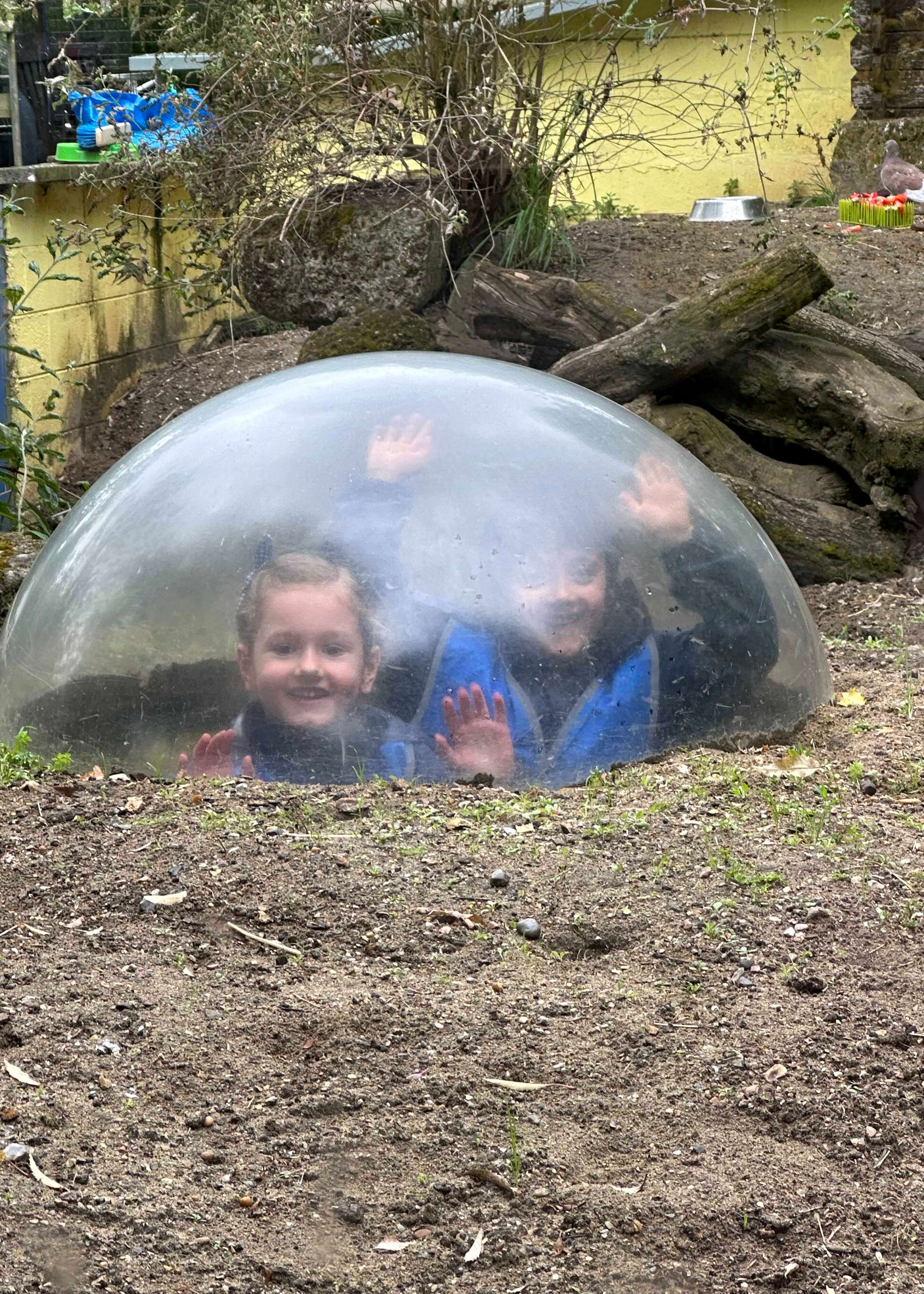 Kindergarten pupil looking at the animals at Battersea Park Zoo |  Ibstock Place School, a private school near Richmond, Barnes, Putney, Kingston, and Wandsworth on an overseas trip. 