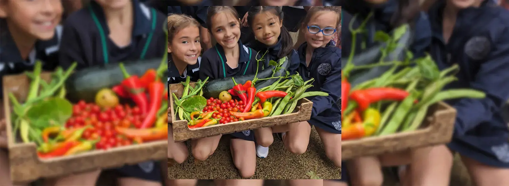 Kitchen Garden Harvest Ibstock Place School