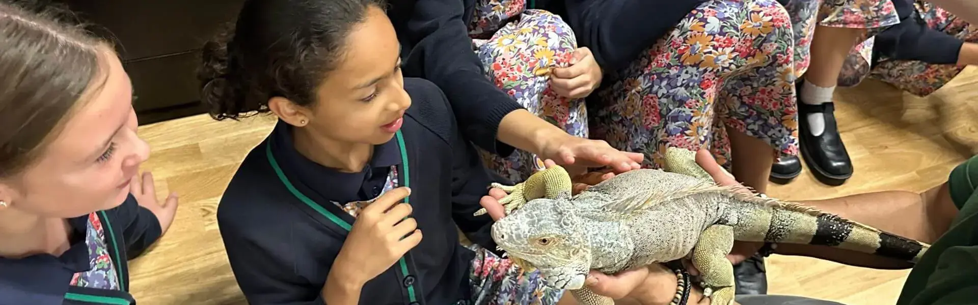 Our Prep 4, 5, and 6 pupils had an incredible morning with One World Animals! | Ibstock Place  | Ibstock Place School, Roehampton, Private School Near Richmond, Barnes, Putney, Kingston, & Wandsworth 