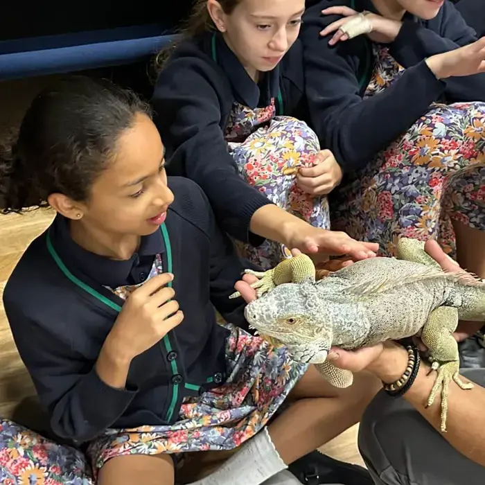 Learning about Exotic Animals