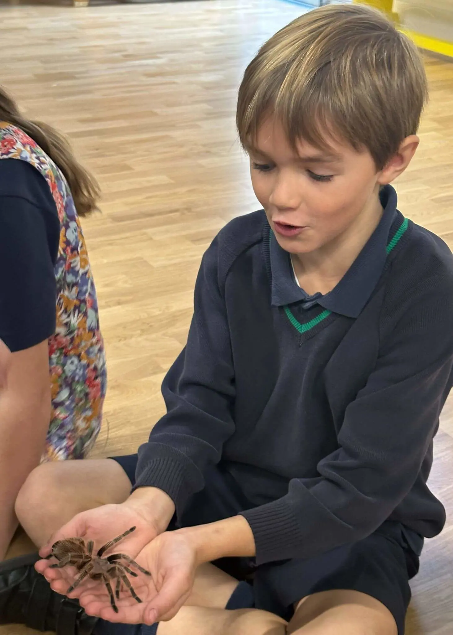 Our Prep 4, 5, and 6 pupils had an incredible morning with One World Animals! | Ibstock Place  | Ibstock Place School, Roehampton, Private School Near Richmond, Barnes, Putney, Kingston, & Wandsworth 