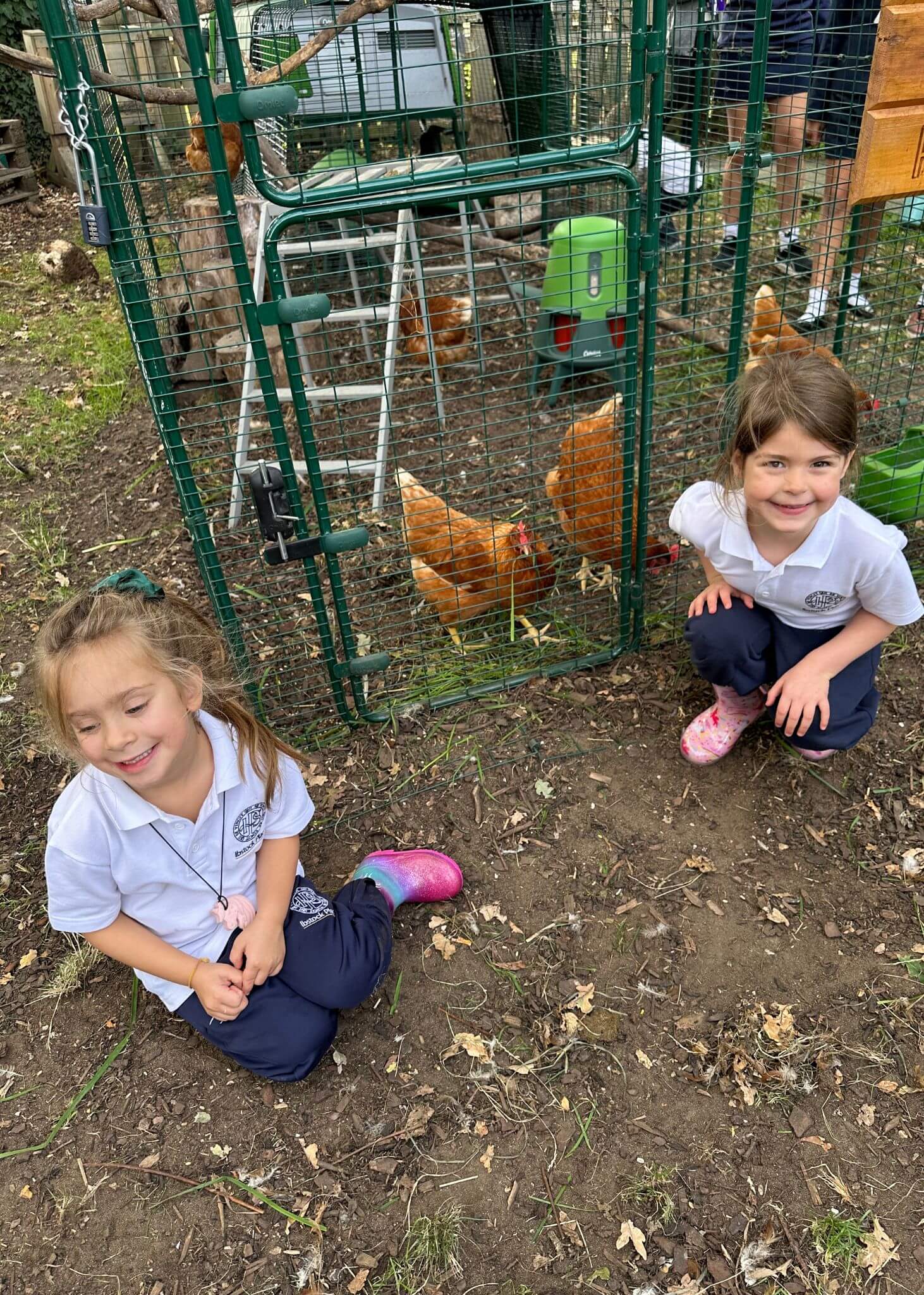 Exploring nature, meeting the chickens and learning through hands-on experiences.  | Ibstock Place School, Roehampton, Private School Near Richmond, Barnes, Putney, Kingston, & Wandsworth 