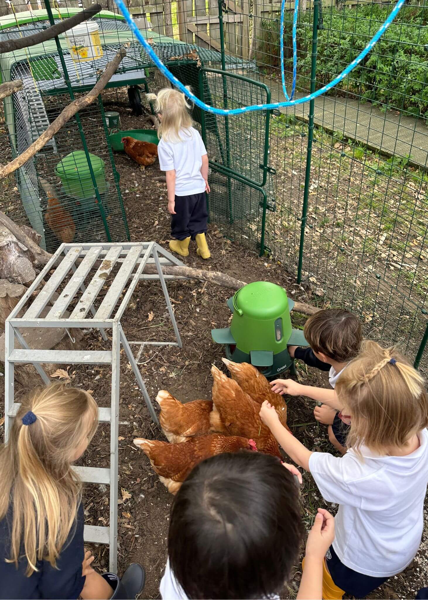 Exploring nature, meeting the chickens and learning through hands-on experiences.  | Ibstock Place School, Roehampton, Private School Near Richmond, Barnes, Putney, Kingston, & Wandsworth 