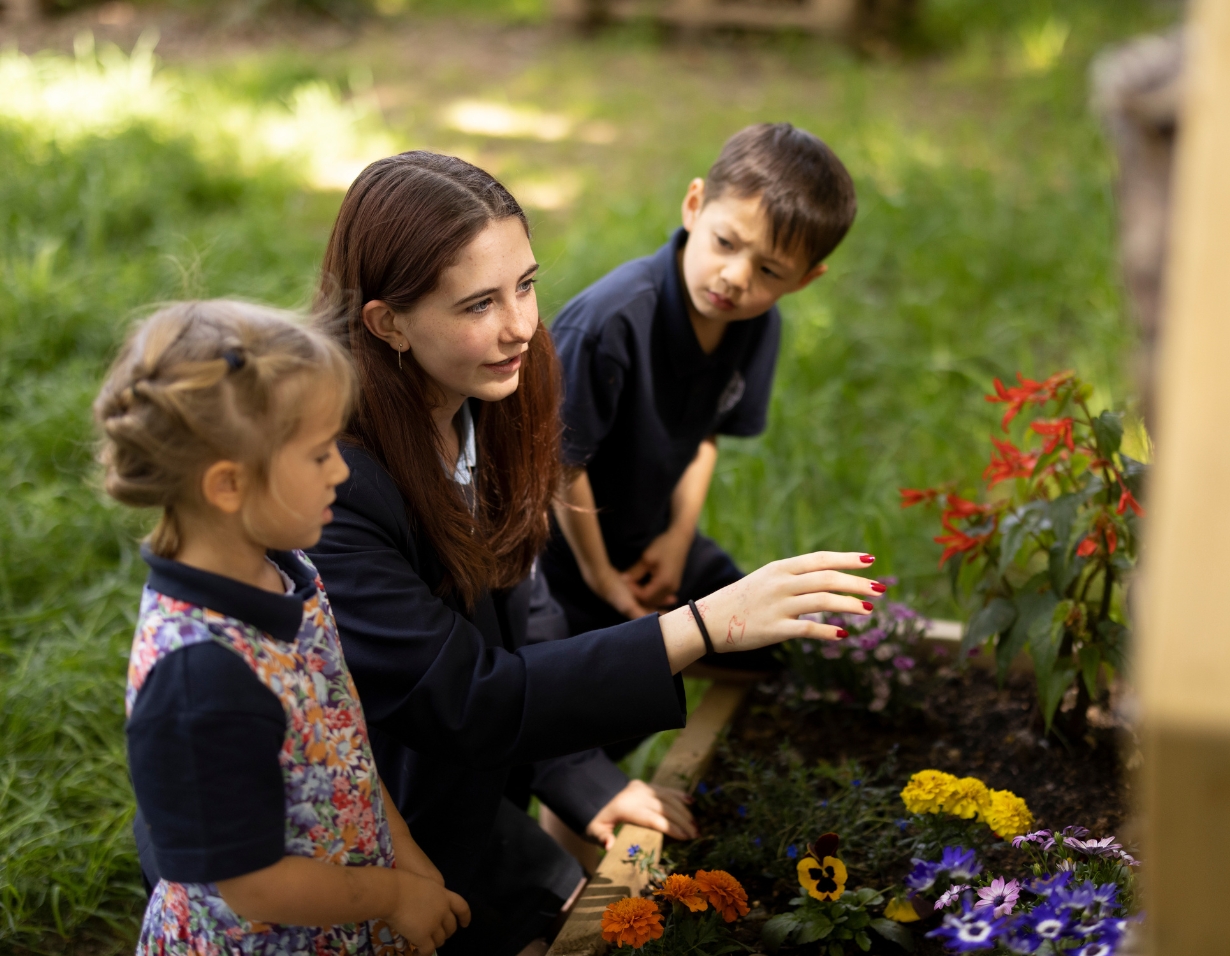 prep pupils learning about the different plants on the campus of Ibstock Place School, a private school near Richmond.