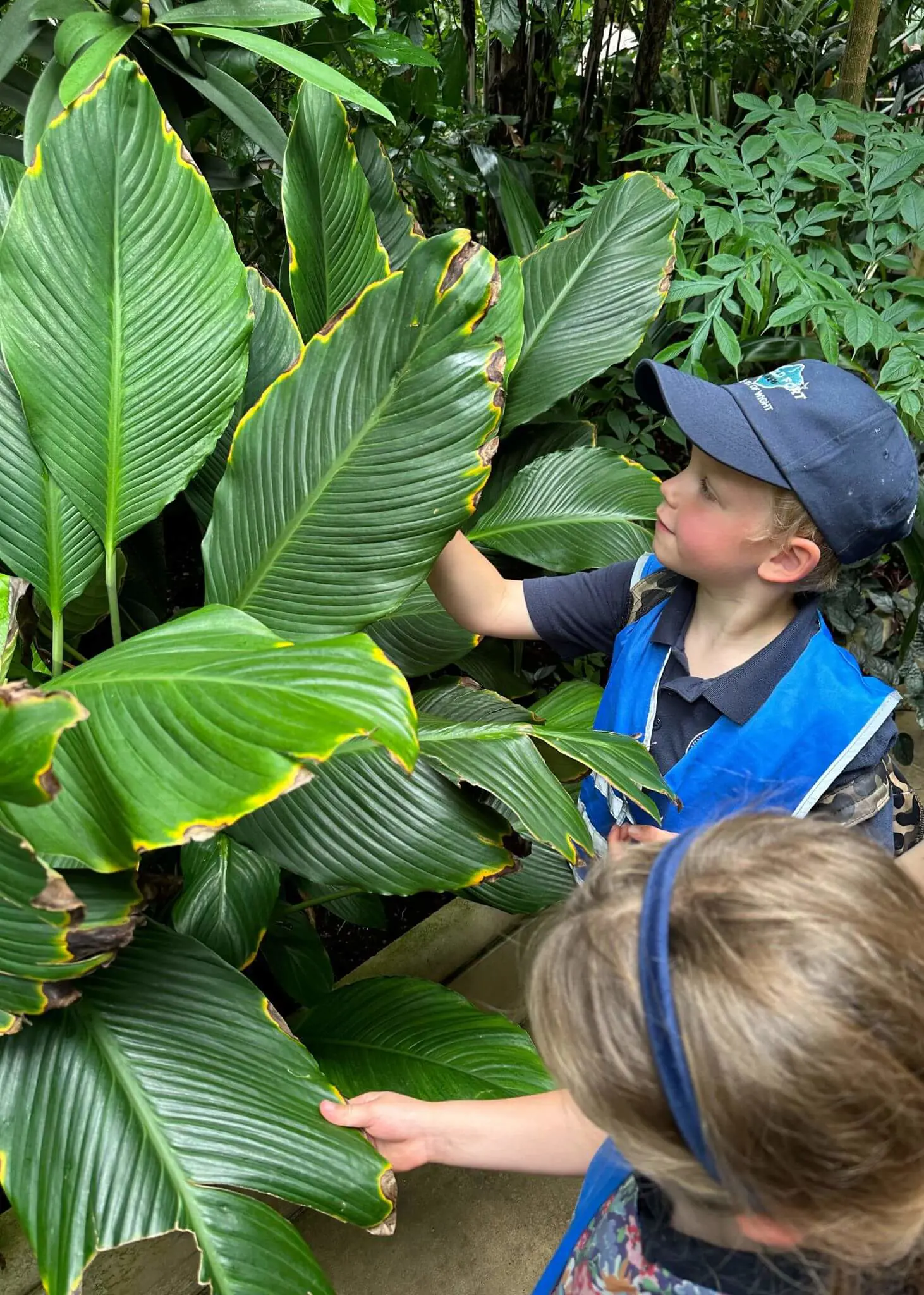 Prep 1 pupils had a fantastic trip to Kew Gardens | Ibstock Place School, Roehampton, Private School Near Richmond, Barnes, Putney, Kingston, & Wandsworth 