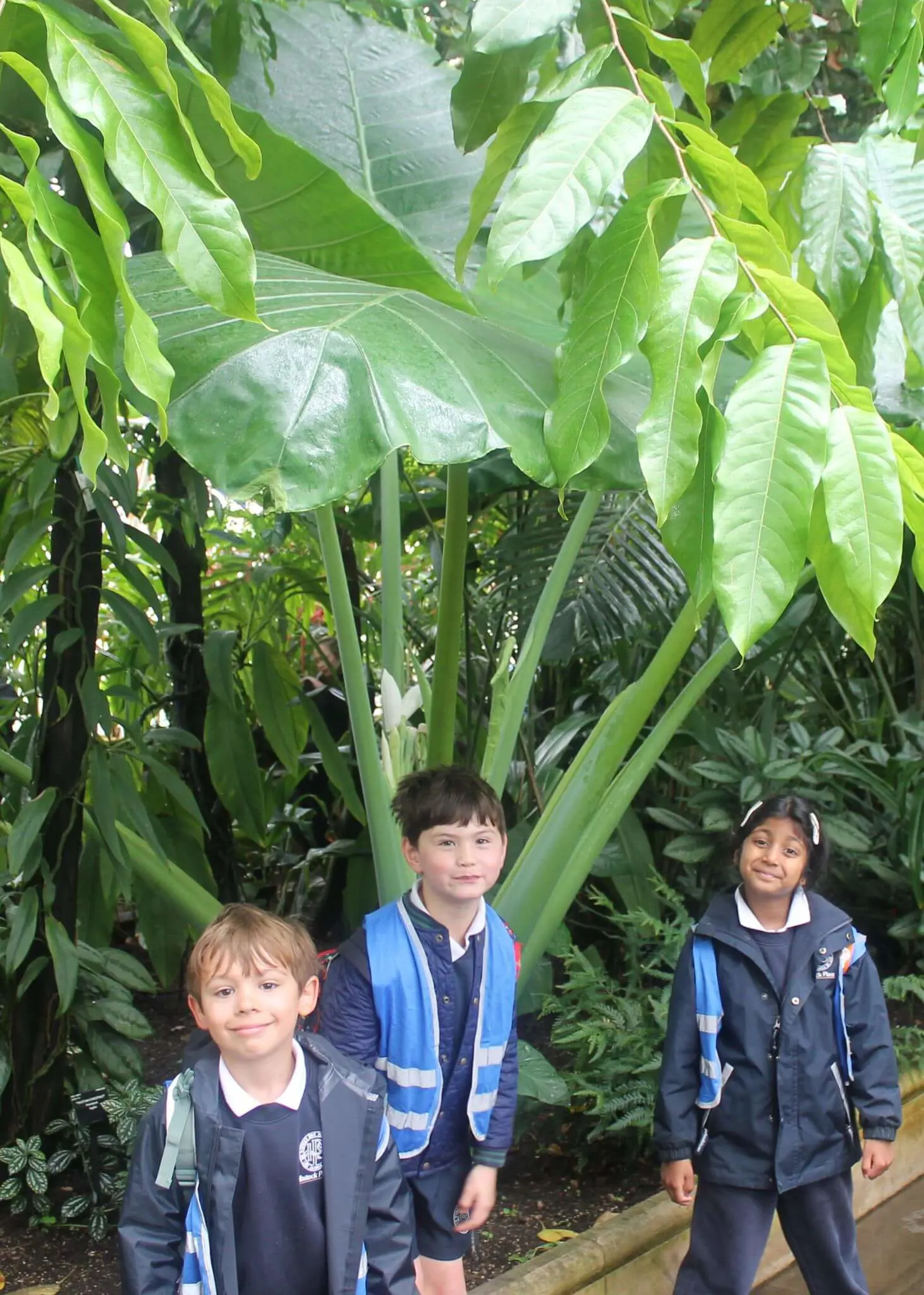 Prep 1 visited Kew Gardens as part of their “Growing Plants” topic.  | Ibstock Place School, Roehampton, Private School Near Richmond, Barnes, Putney, Kingston, & Wandsworth 