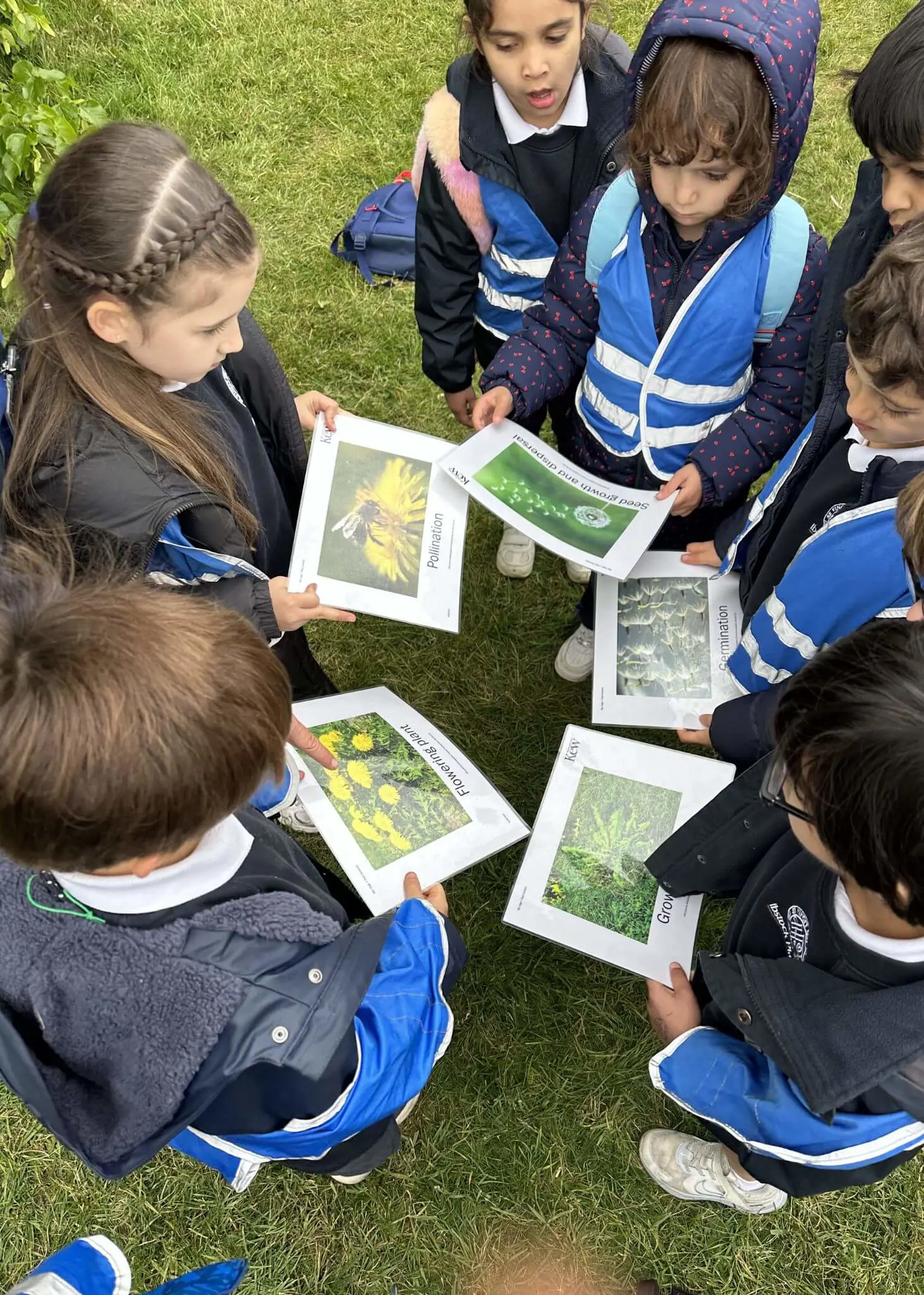 Prep 1 visited Kew Gardens as part of their “Growing Plants” topic.  | Ibstock Place School, Roehampton, Private School Near Richmond, Barnes, Putney, Kingston, & Wandsworth 