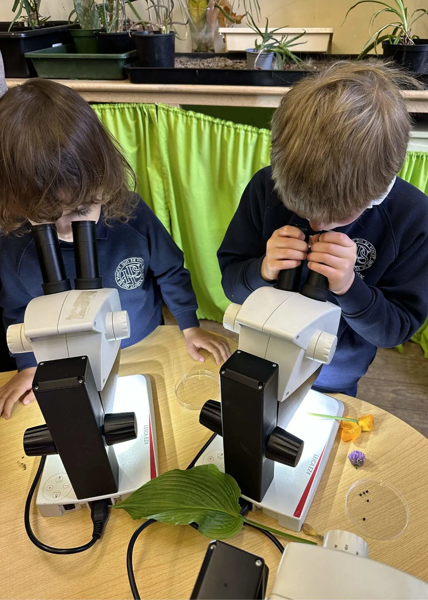Prep 1 visited Kew Gardens as part of their “Growing Plants” topic.  | Ibstock Place School, Roehampton, Private School Near Richmond, Barnes, Putney, Kingston, & Wandsworth 