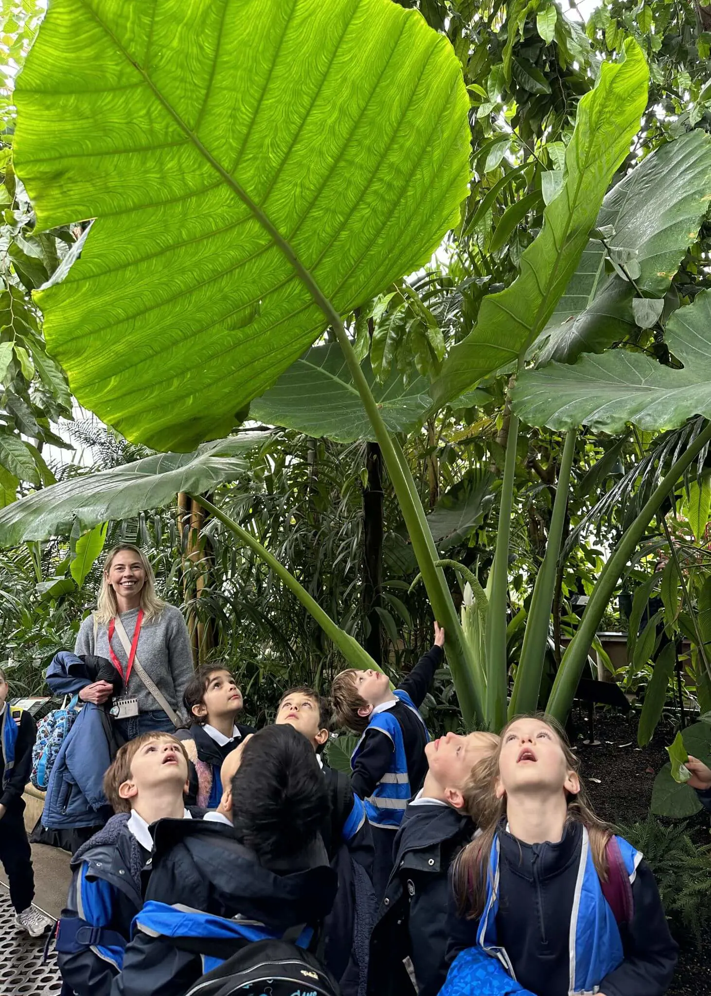 Prep 1 visited Kew Gardens as part of their “Growing Plants” topic.  | Ibstock Place School, Roehampton, Private School Near Richmond, Barnes, Putney, Kingston, & Wandsworth 