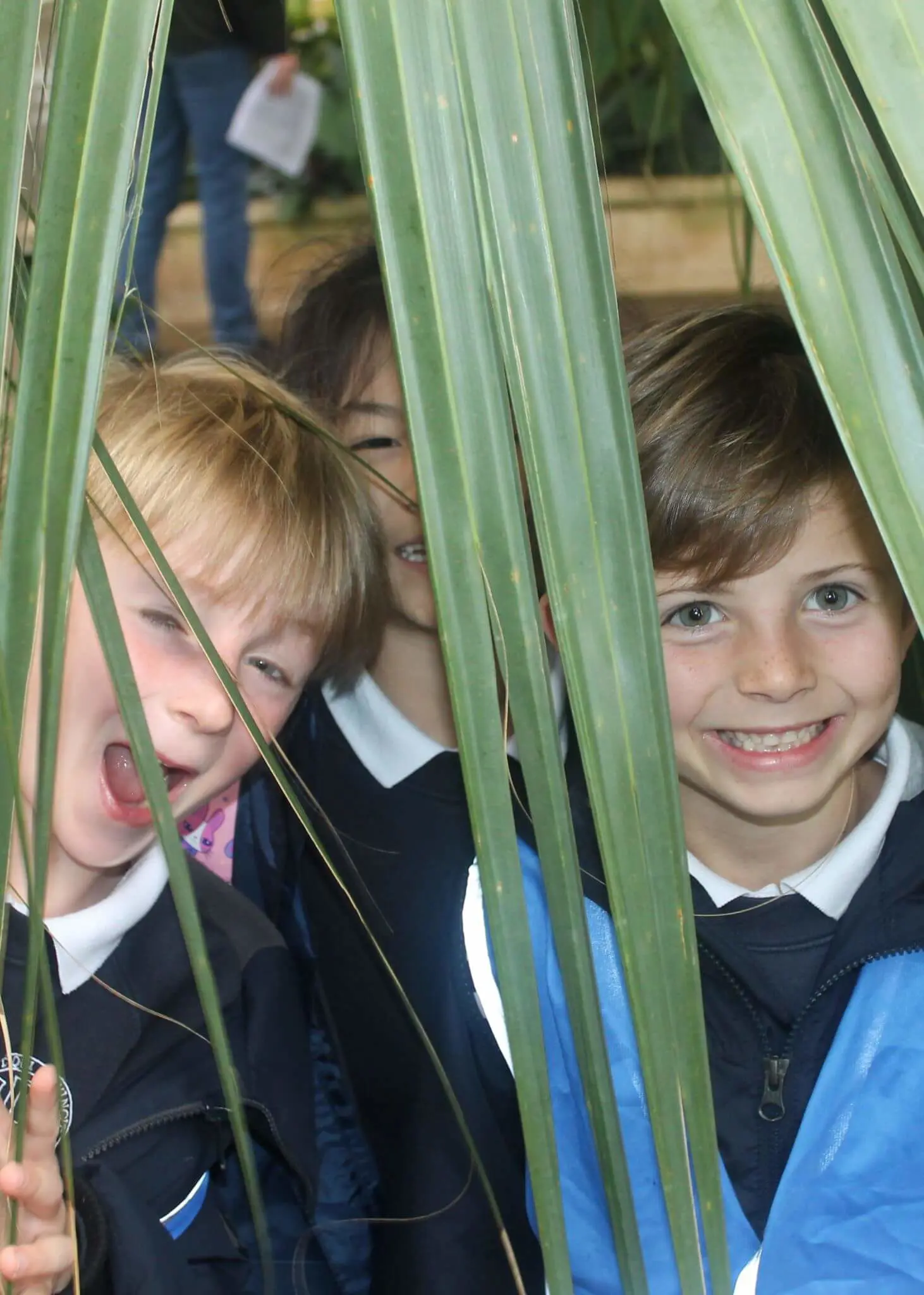 Prep 1 visited Kew Gardens as part of their “Growing Plants” topic.  | Ibstock Place School, Roehampton, Private School Near Richmond, Barnes, Putney, Kingston, & Wandsworth 