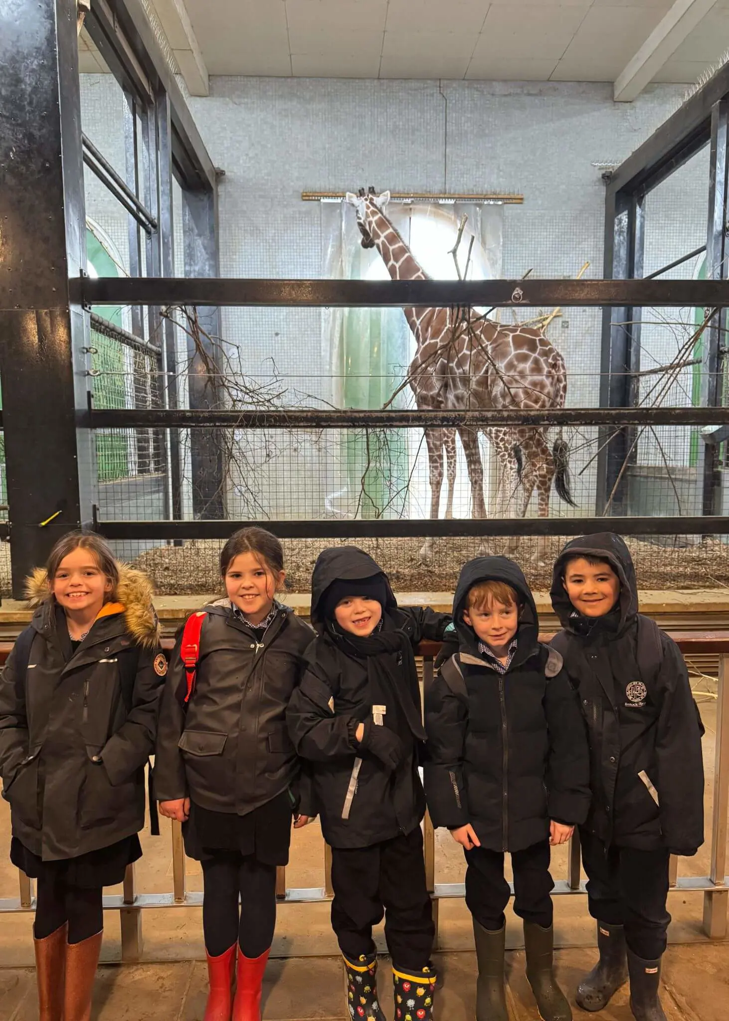 Prep 3 had a fantastic time at the Zoo on Wednesday, despite being drenched in the rain| Ibstock Place School, Roehampton, Private School Near Richmond, Barnes, Putney, Kingston, & Wandsworth 