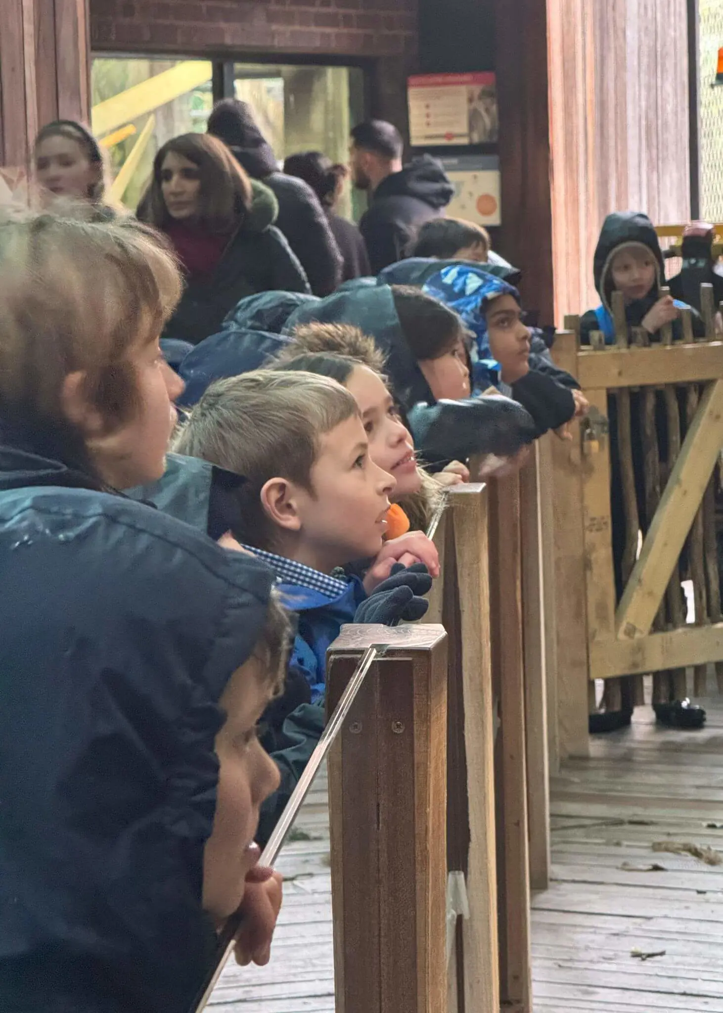 Prep 3 had a fantastic time at the Zoo on Wednesday, despite being drenched in the rain| Ibstock Place School, Roehampton, Private School Near Richmond, Barnes, Putney, Kingston, & Wandsworth 