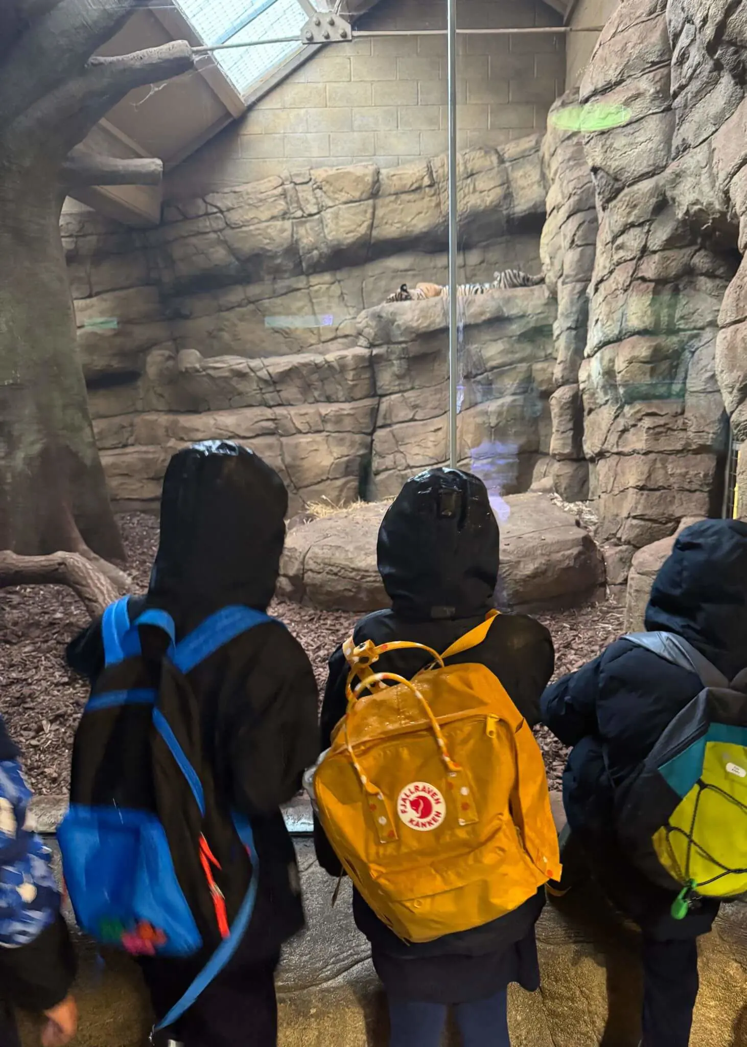 Prep 3 had a fantastic time at the Zoo on Wednesday, despite being drenched in the rain| Ibstock Place School, Roehampton, Private School Near Richmond, Barnes, Putney, Kingston, & Wandsworth 