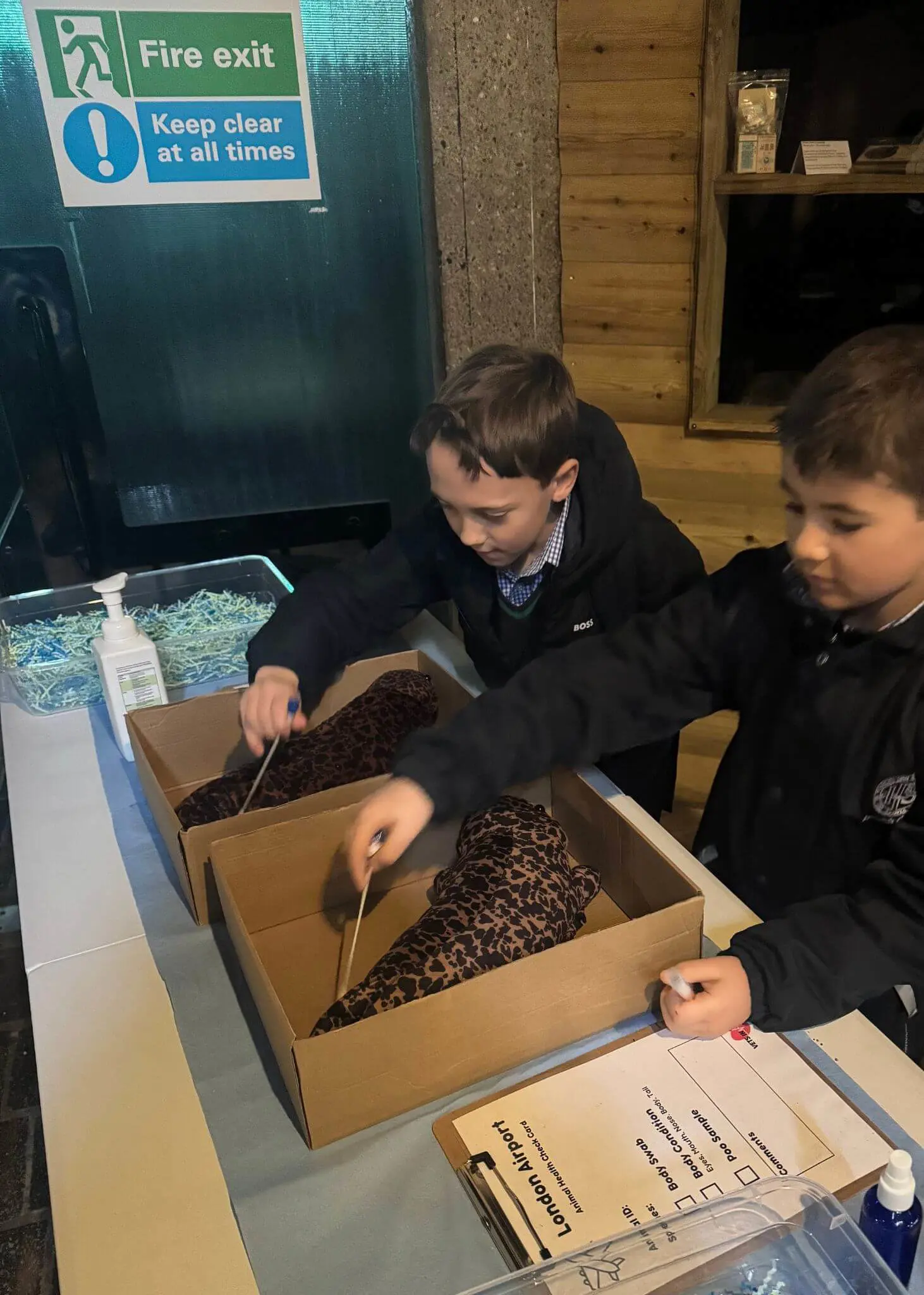 Prep 3 had a fantastic time at the Zoo on Wednesday, despite being drenched in the rain| Ibstock Place School, Roehampton, Private School Near Richmond, Barnes, Putney, Kingston, & Wandsworth 