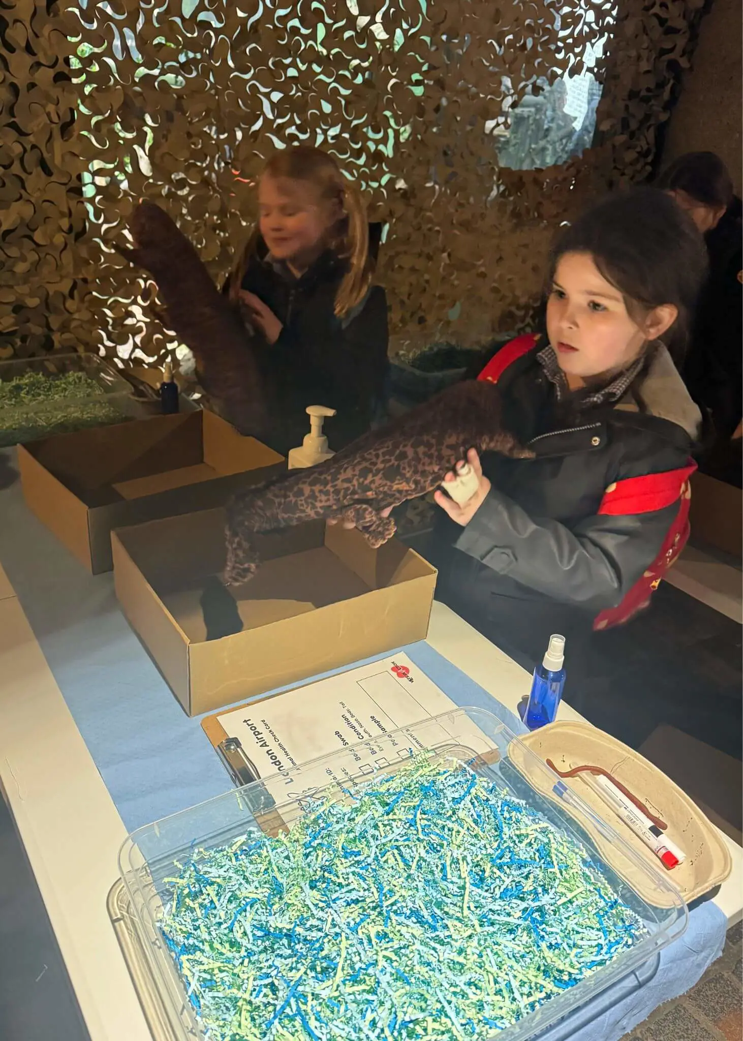 Prep 3 had a fantastic time at the Zoo on Wednesday, despite being drenched in the rain| Ibstock Place School, Roehampton, Private School Near Richmond, Barnes, Putney, Kingston, & Wandsworth 