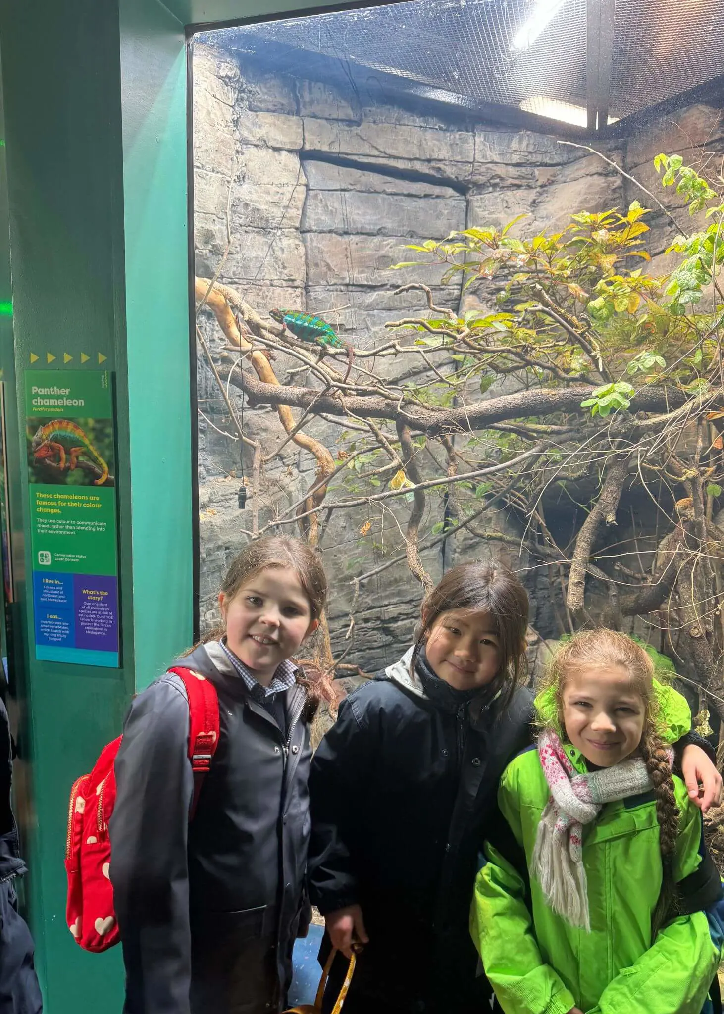 Prep 3 had a fantastic time at the Zoo on Wednesday, despite being drenched in the rain| Ibstock Place School, Roehampton, Private School Near Richmond, Barnes, Putney, Kingston, & Wandsworth 