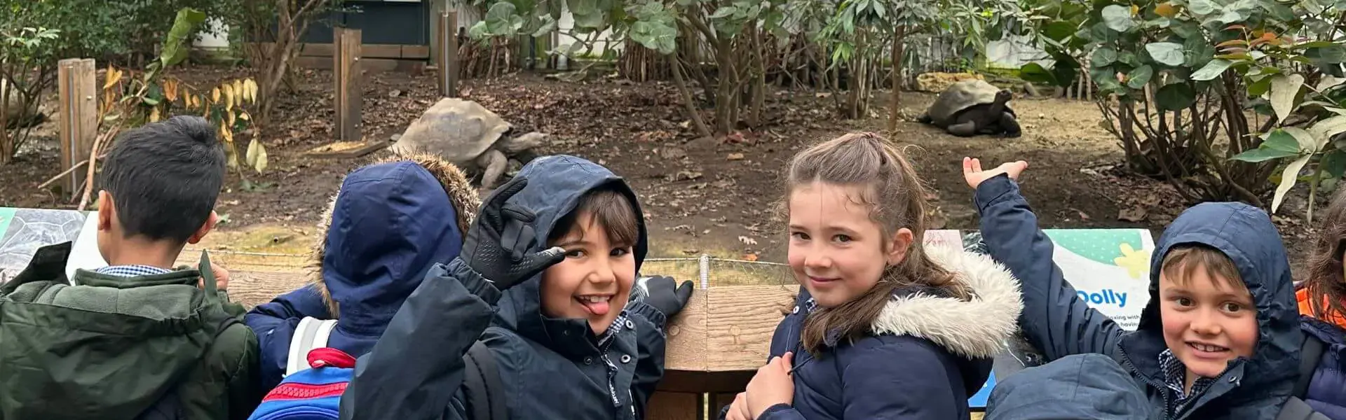 Prep 3 had a fantastic time at the Zoo on Wednesday, despite being drenched in the rain| Ibstock Place School, Roehampton, Private School Near Richmond, Barnes, Putney, Kingston, & Wandsworth 