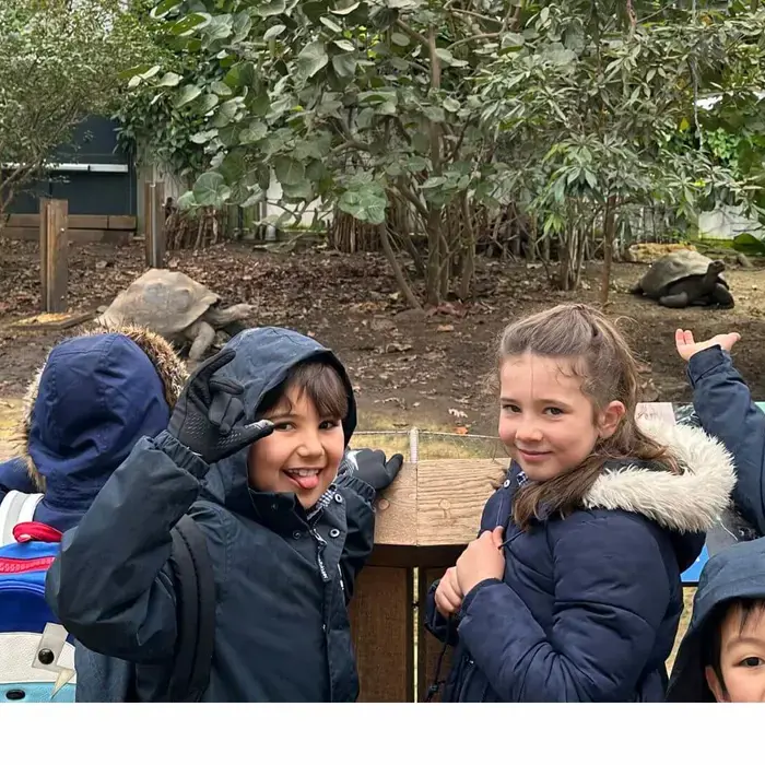 Prep 3 Visit to the Zoo