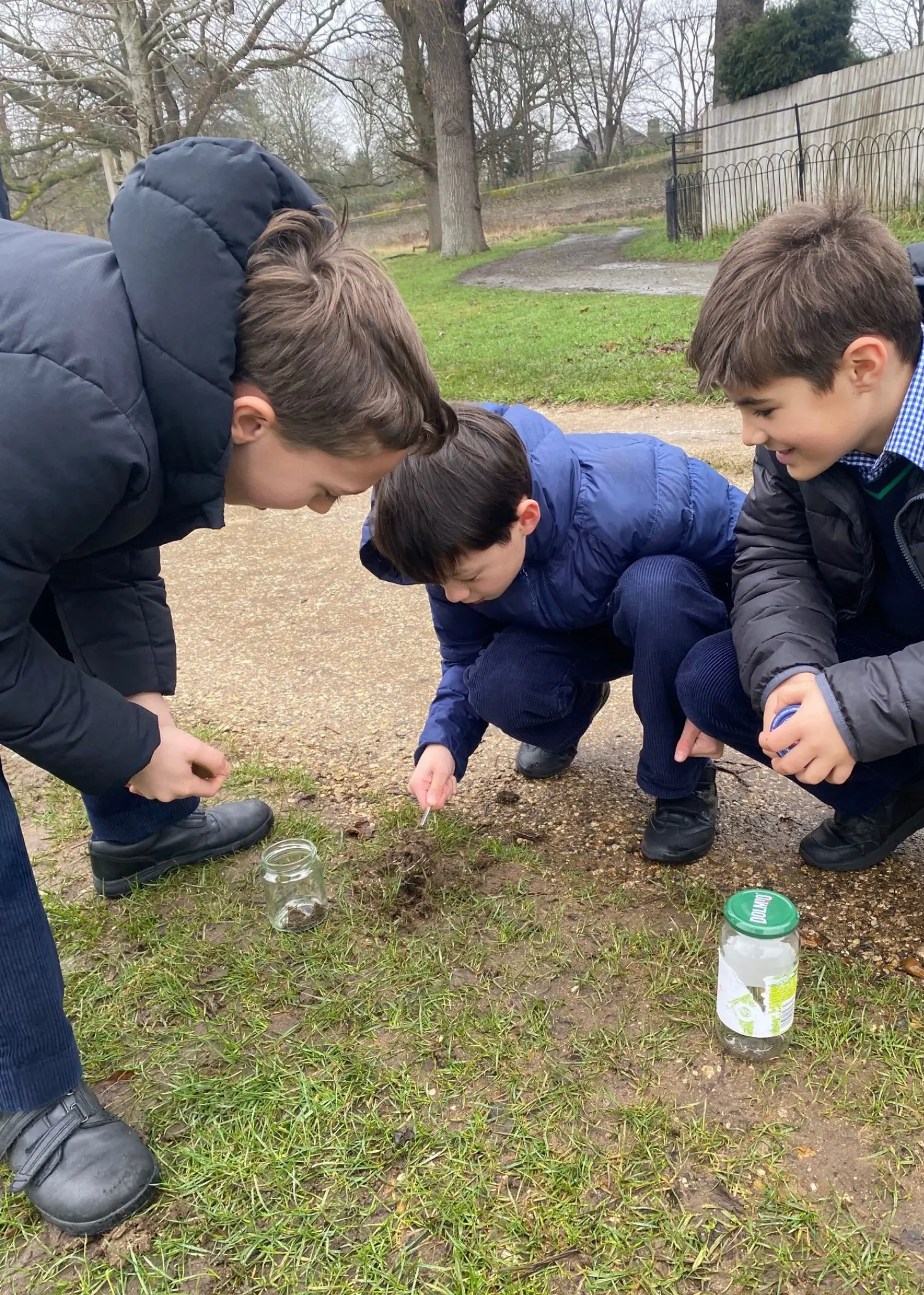  Prep 4W learns about soil layers through fieldwork in Richmond Park! | Ibstock Place School, Roehampton, Private School Near Richmond, Barnes, Putney, Kingston, & Wandsworth 