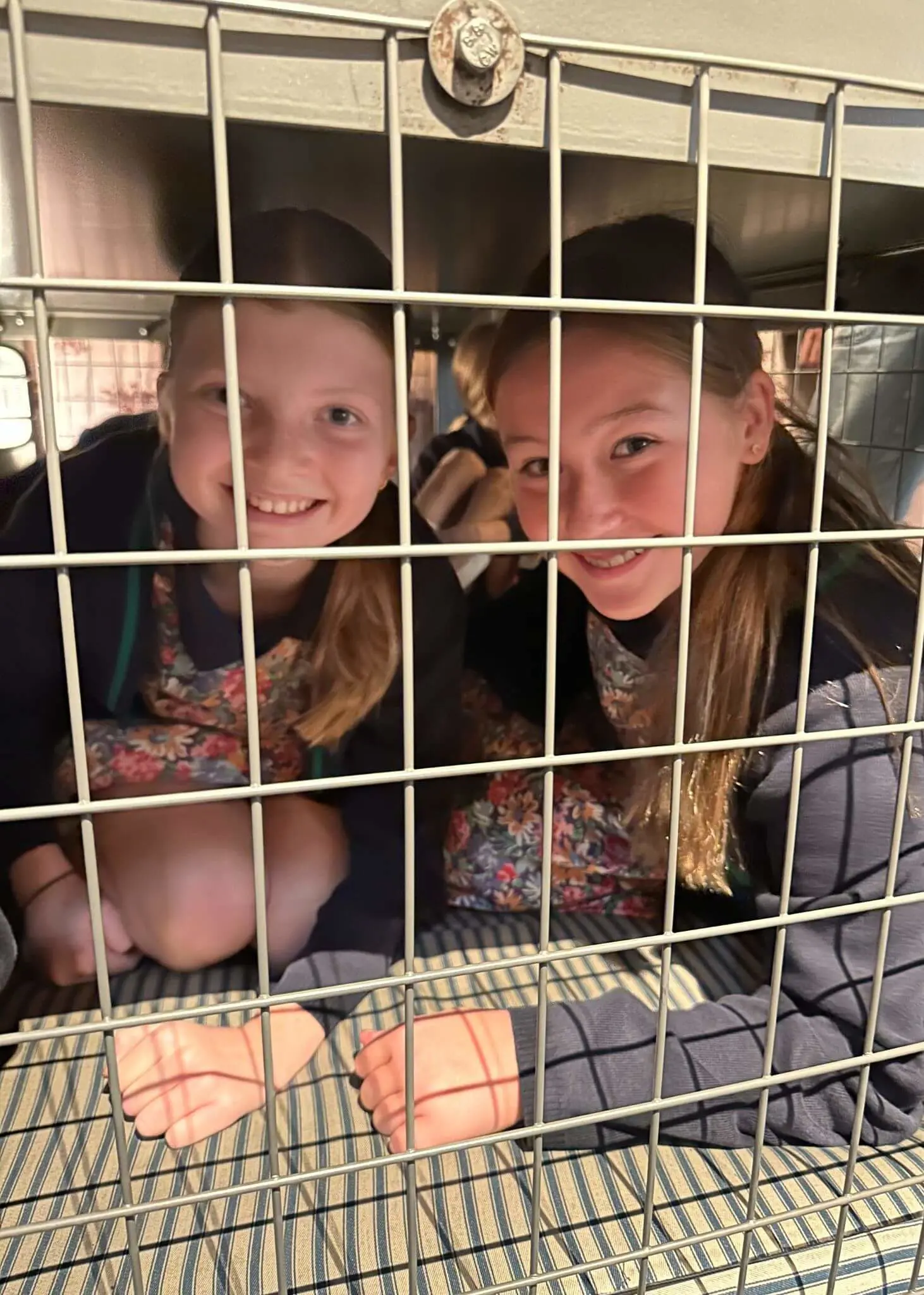 Prep 6 enjoyed a fantastic day at the Imperial War Museum | Ibstock Place School, Roehampton, Private School Near Richmond, Barnes, Putney, Kingston, & Wandsworth 
