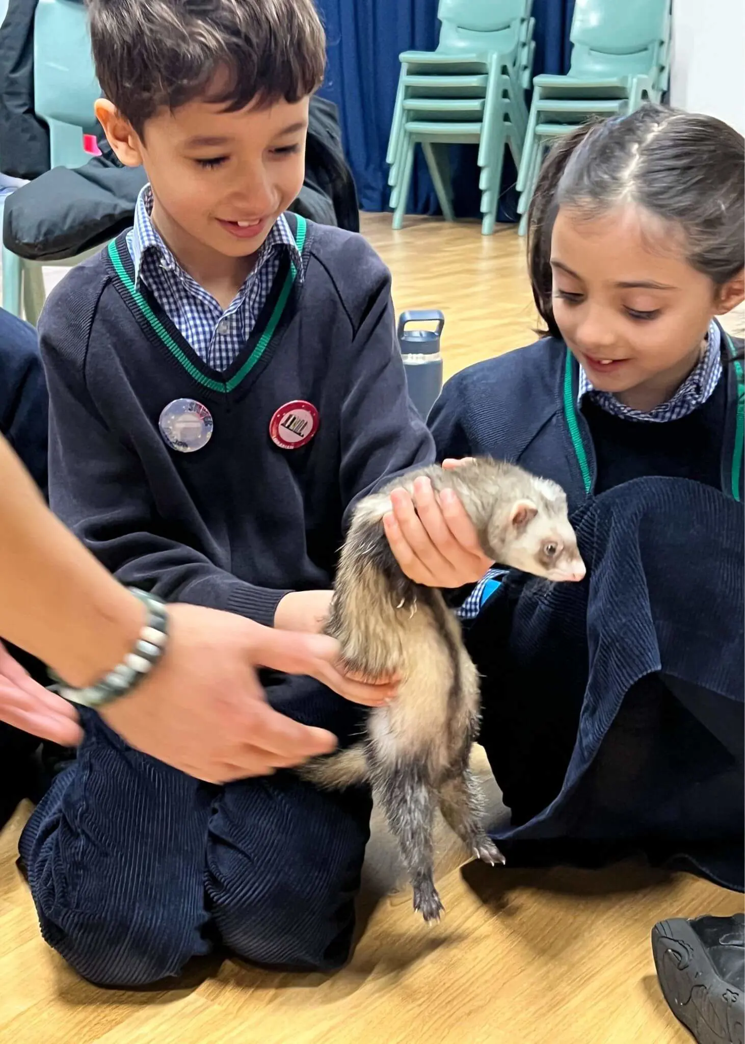 Prep STEAM Week Explores Amazing Animal Habitats | Ibstock Place School, Roehampton, Private School Near Richmond, Barnes, Putney, Kingston, & Wandsworth 