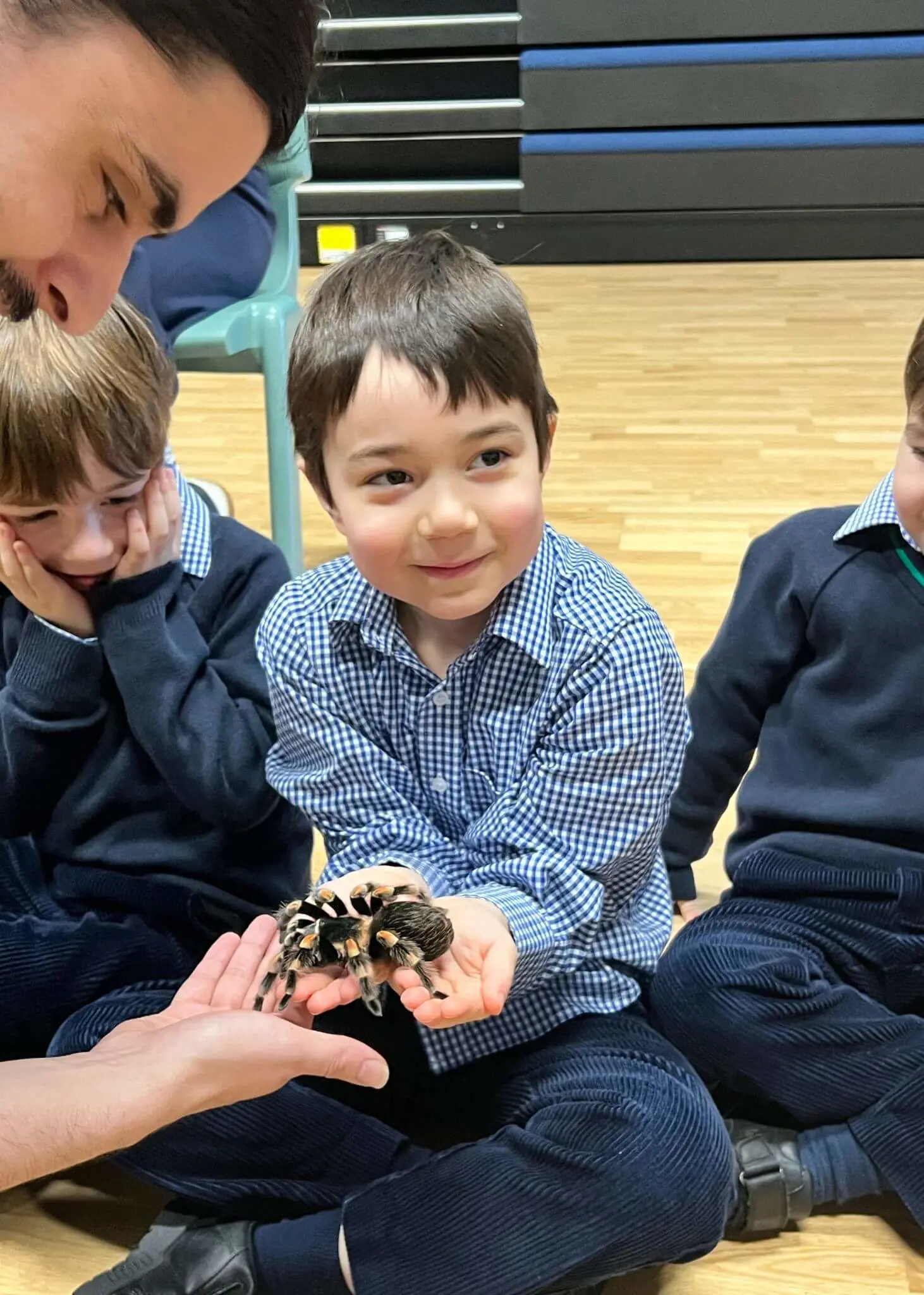 Prep STEAM Week Explores Amazing Animal Habitats | Ibstock Place School, Roehampton, Private School Near Richmond, Barnes, Putney, Kingston, & Wandsworth 