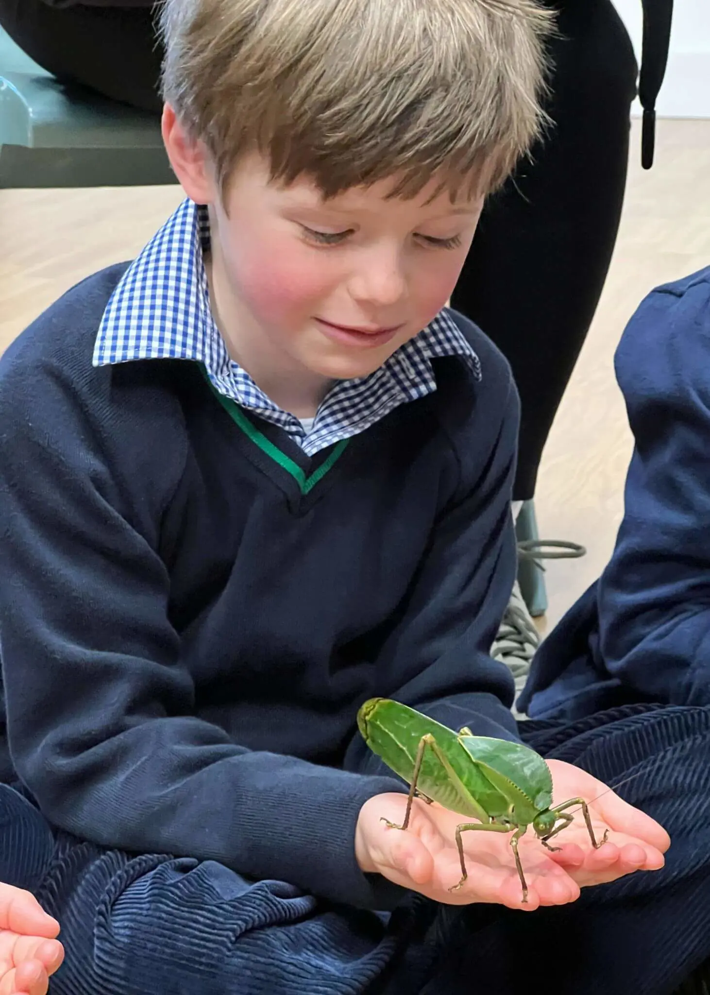 Prep STEAM Week Explores Amazing Animal Habitats | Ibstock Place School, Roehampton, Private School Near Richmond, Barnes, Putney, Kingston, & Wandsworth 