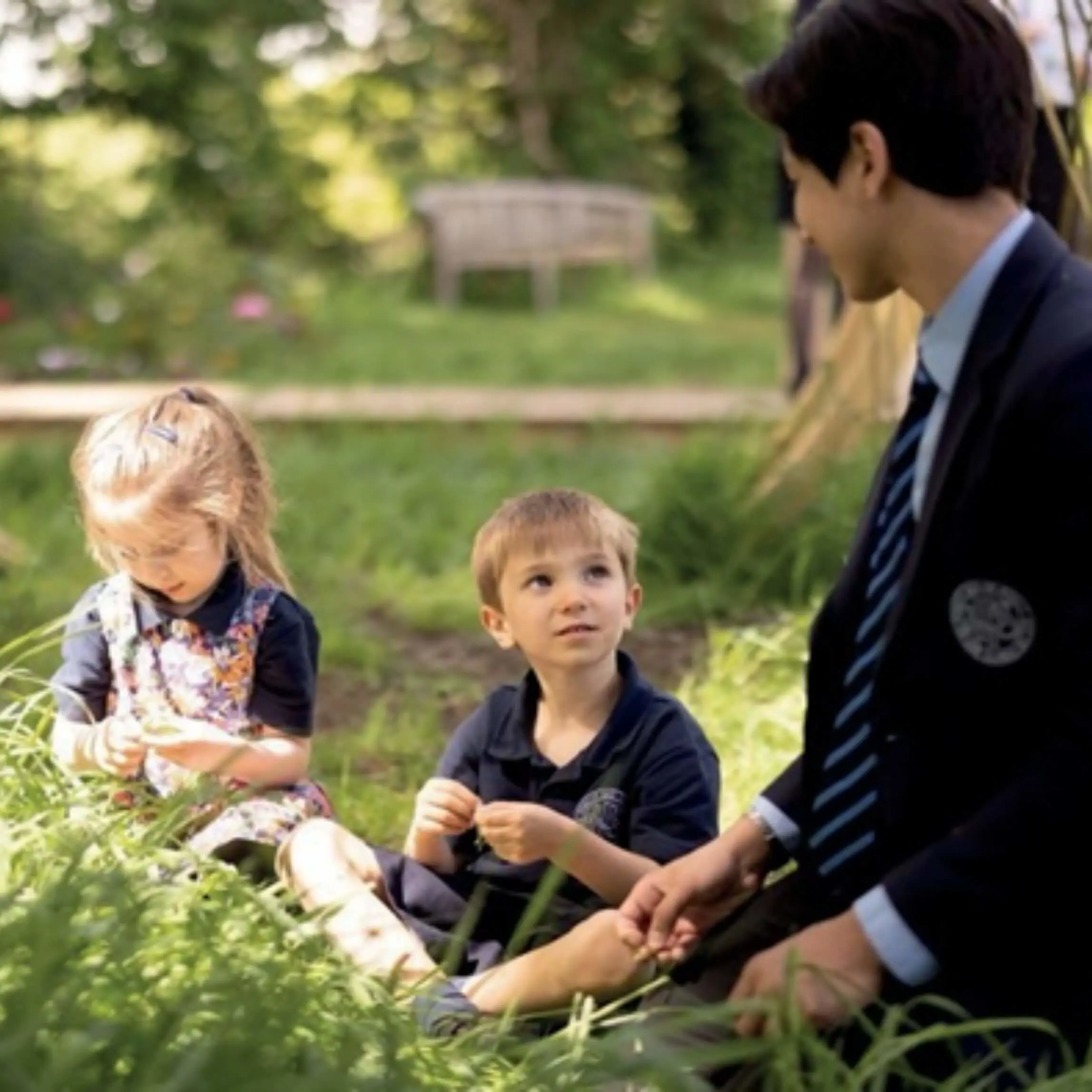  OptimizedImage,,,Optimized