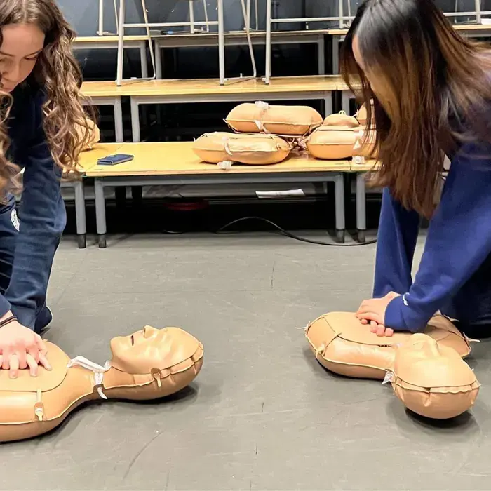 Tutorial Day Spring 2025