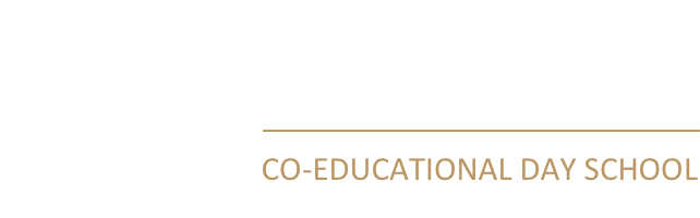  OptimizedImage,Optimized